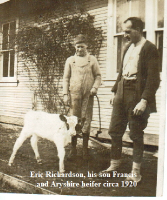 Francis & Eric & aryshire heifer